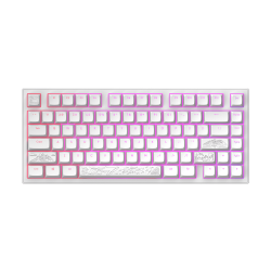 Dark Project ALU Terra Nostra White - Wired Gaming Keyboard