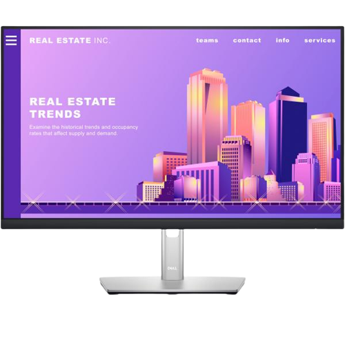 DELL Monitor P2422H