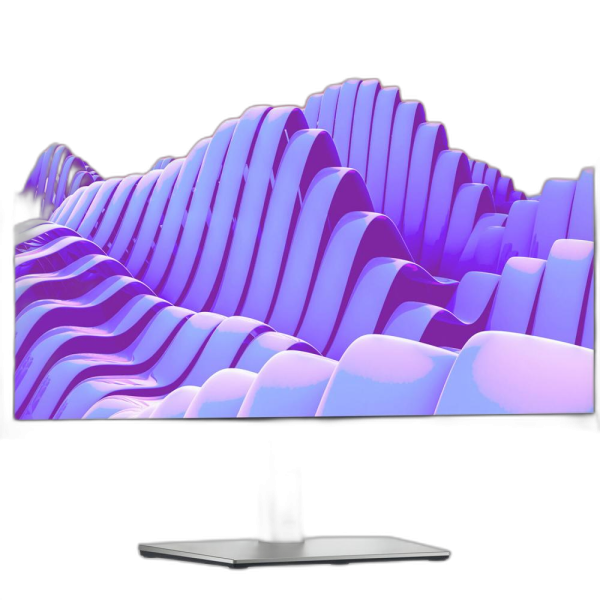DELL Monitor P2722H