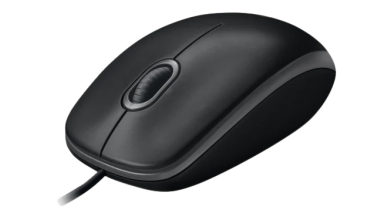 Logitech B100 Mouse