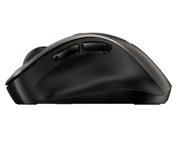 Genius Ergo 9000s USB Wireless Mouse Champagne Titanium
