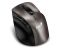 Genius Ergo 9000s USB Wireless Mouse Champagne Titanium