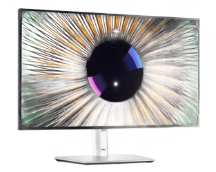 Dell 23.8" U2424H 120Hz USB-C UltraSharp IPS monitor