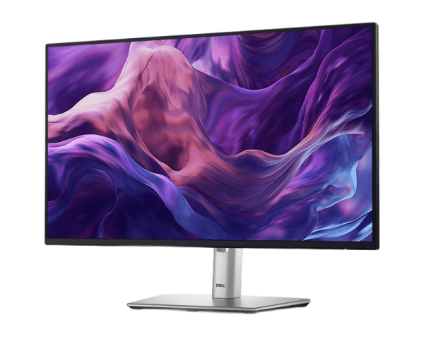 Dell 23.8" P2425H 100Hz Professional IPS monitor