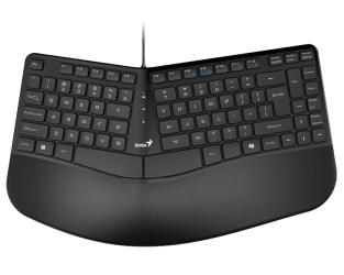 Genius Ergo KB-700 USB US Keyboard Black