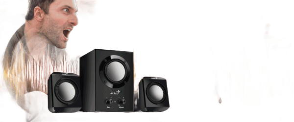 Genius SW-2.1 300 Black Speakers