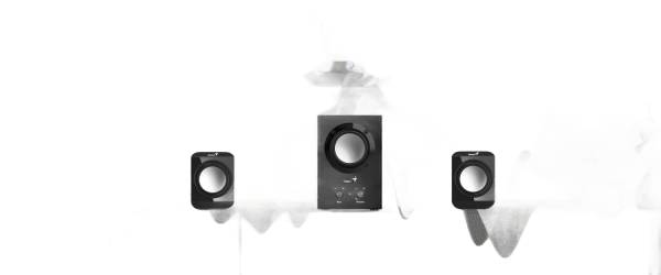 Genius SW-2.1 300 Black Speakers