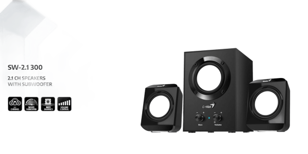 Genius SW-2.1 300 Black Speakers